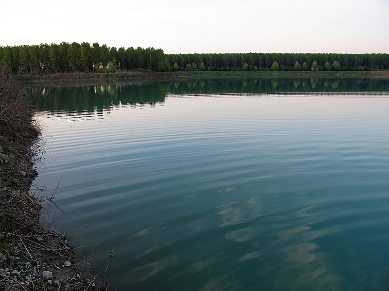 10-recupero-pesce-area-golenale del Po-gualtieri-CMG_0181.jpg