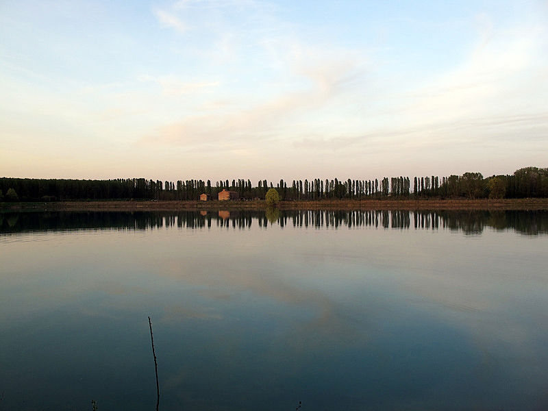 12-recupero-pesce-area-golenale del Po-gualtieri-CMG_0184.jpg