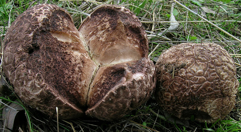 DSCN3705.jpg