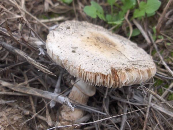 4_HPIM3819.JPG