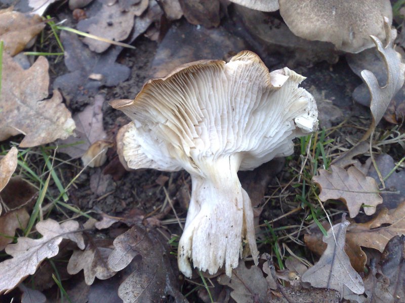 151220092705.jpg
