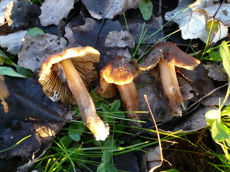 p1050650.jpg
