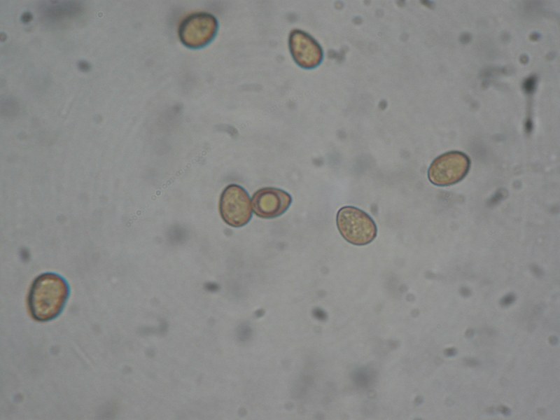 p1050684.jpg