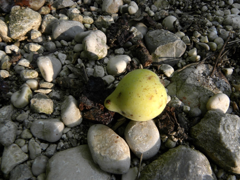 DSCN8472.JPG