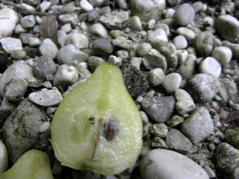 DSCN8475.JPG