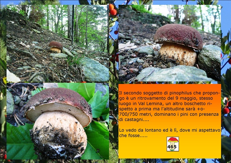 Gaia_PIN2_SK.jpg