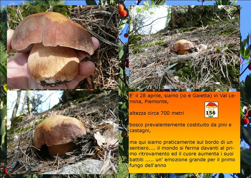 Gaia_PIN1_SK.jpg