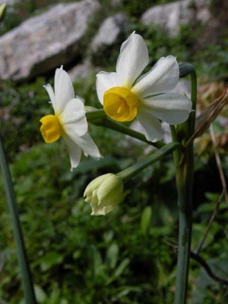 nt02.jpg