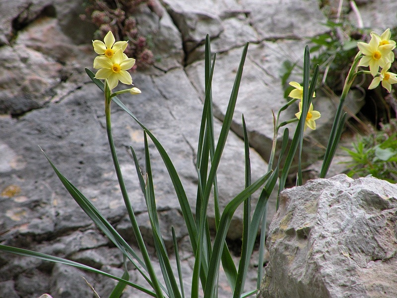 nt07.jpg