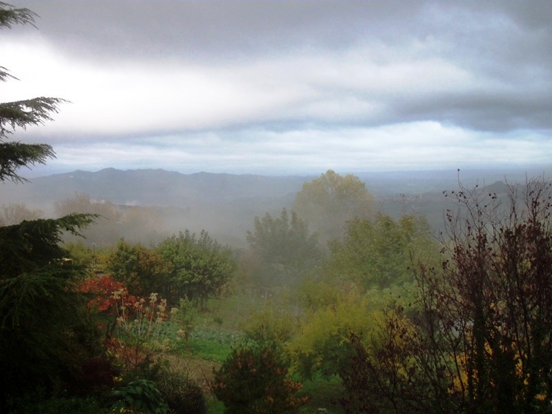 101_4559.JPG