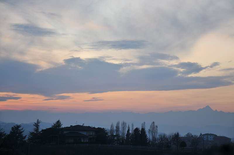 DSC_4436.jpg