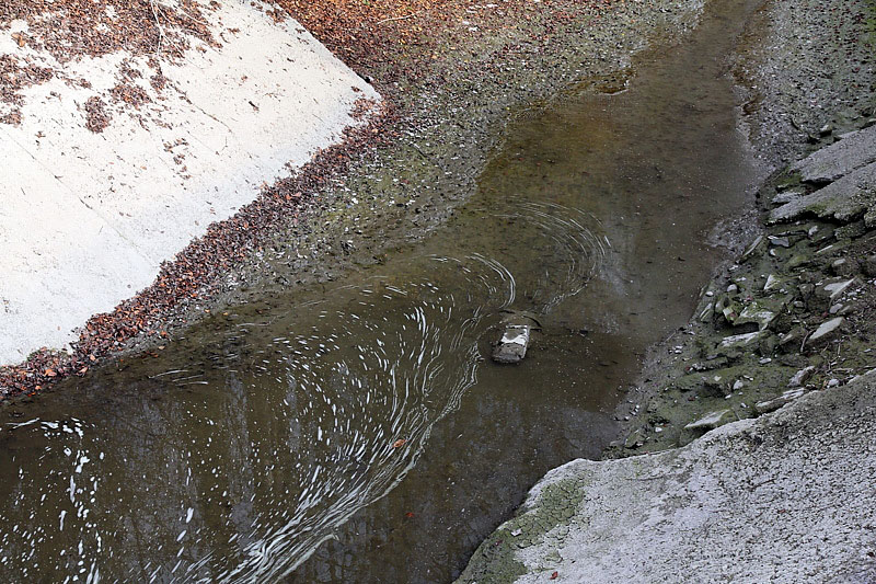 1-inquinamento-canale di caprara-XMG_9124.jpg