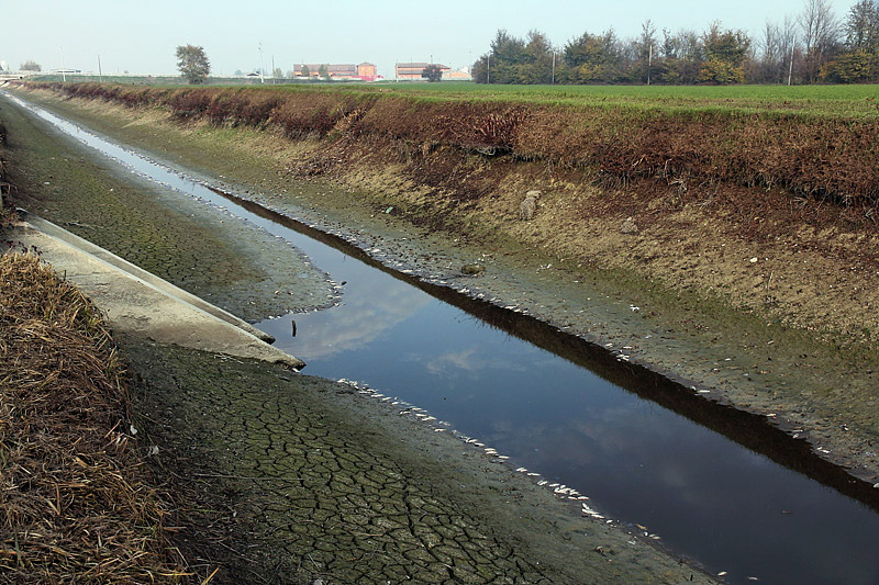 8-inquinamento-canale di caprara-XMG_9136.jpg