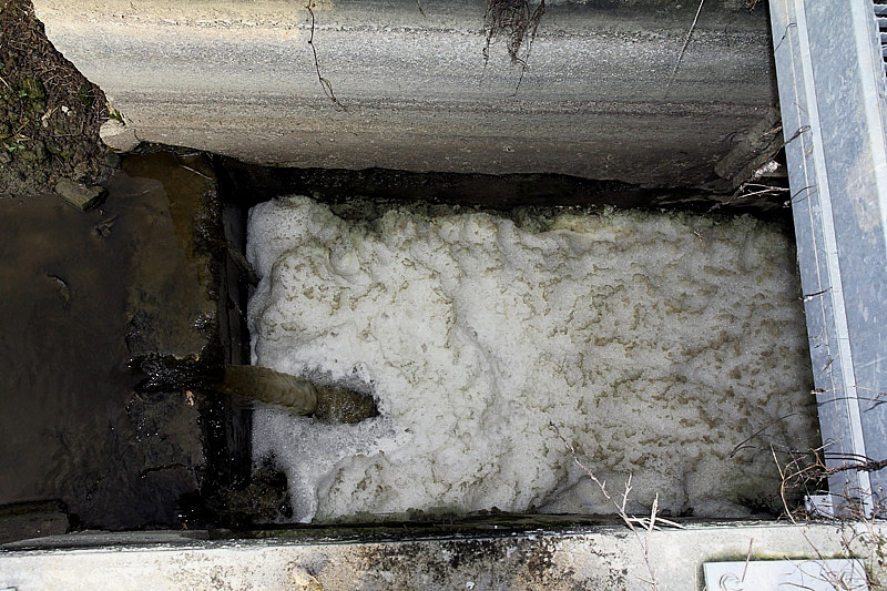 3-inquinamento-canale di caprara-XMG_9110.jpg