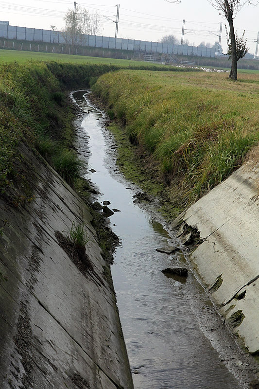 2-inquinamento-canale di caprara-XMG_9119.jpg