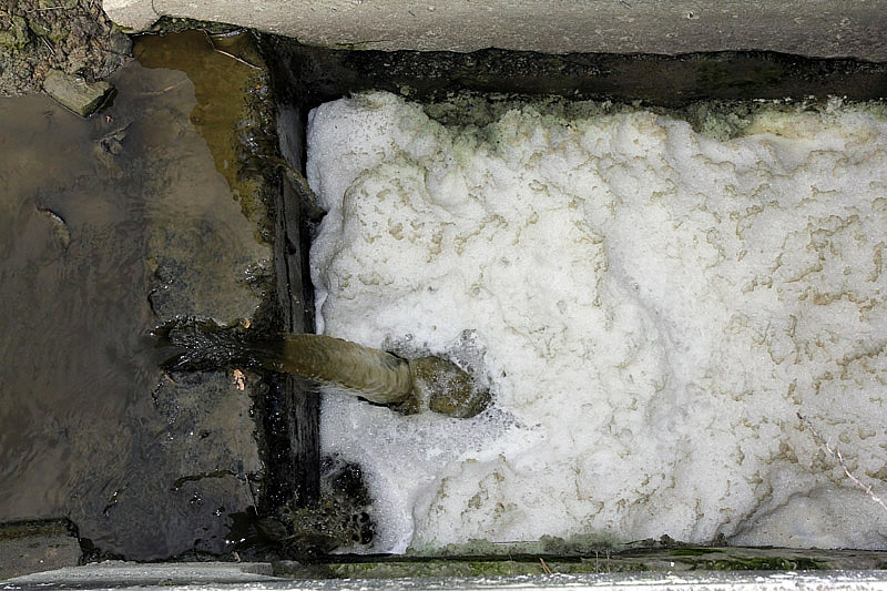 4-inquinamento-canale di caprara-XMG_9118.jpg
