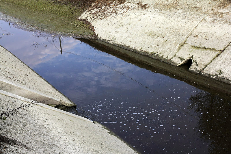 5-inquinamento-canale di caprara-XMG_9121.jpg