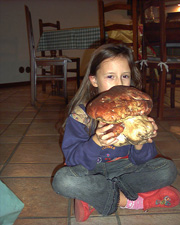 funghi_Boprgotaro_piccola.jpg