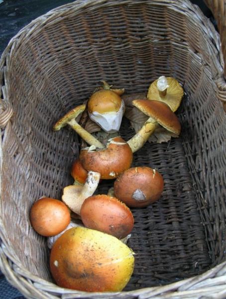 11settembre2006_008.jpg