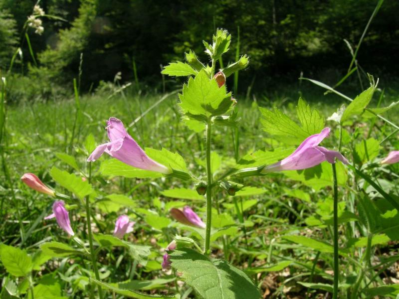 DSCN3356.JPG