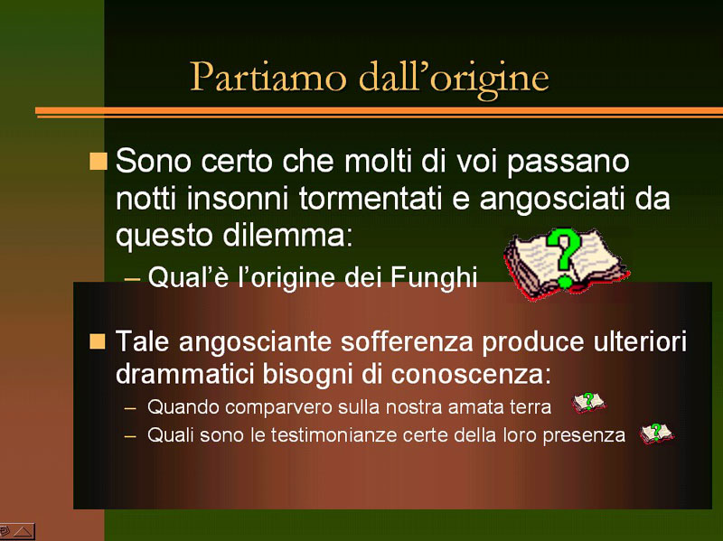 Immagine allegata: post-4-1130180766.jpg