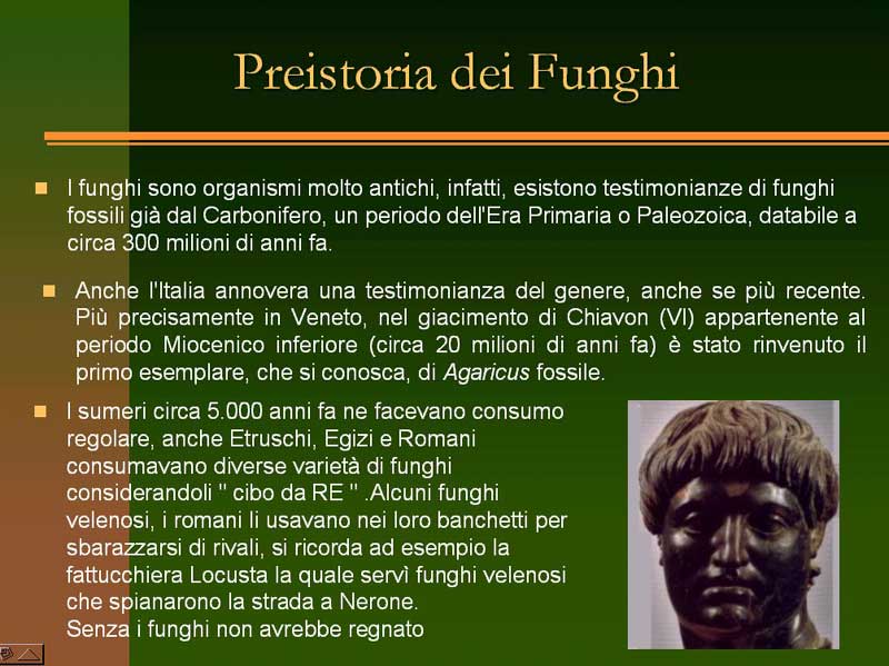 Immagine allegata: post-4-1130180895.jpg