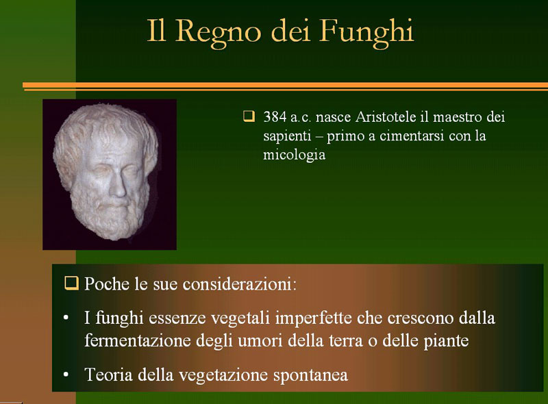 Immagine allegata: post-4-1130180966.jpg