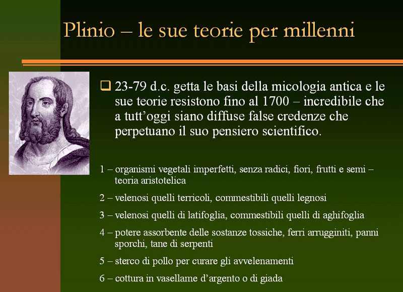 Immagine allegata: post-4-1130181019.jpg