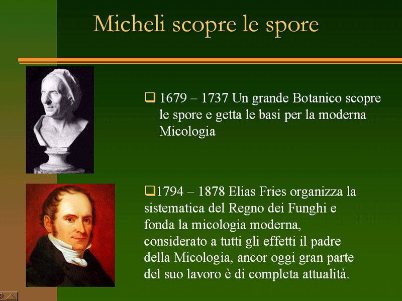 Immagine allegata: post-4-1130181133.jpg