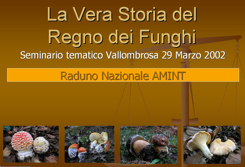 Immagine allegata: post-4-1130183798.jpg