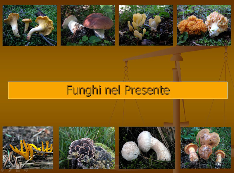 Immagine allegata: post-4-1130183858.jpg