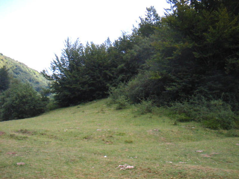 bosco30.07.05.jpg