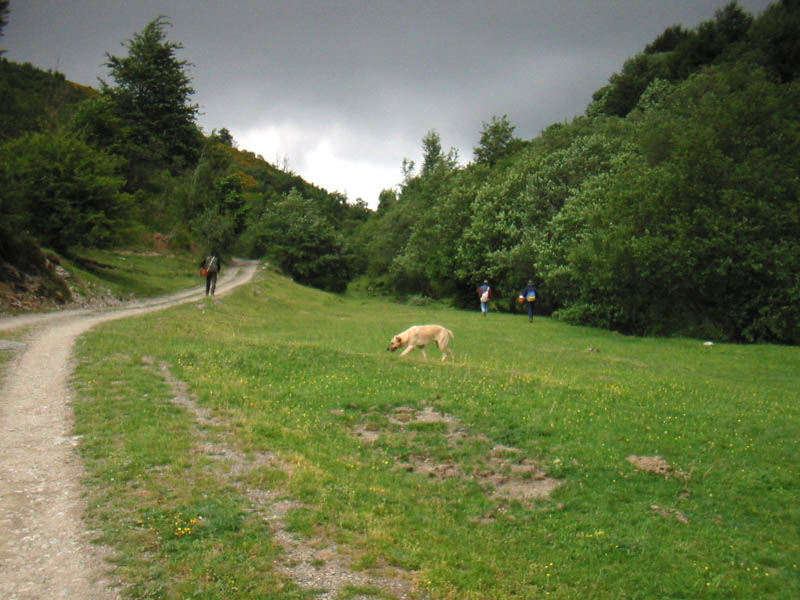 fine11.06.05.jpg