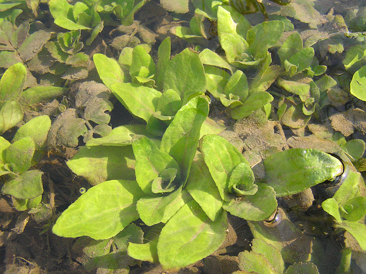 PP1010002.jpg