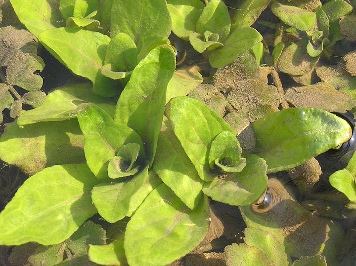 PP1010006.jpg