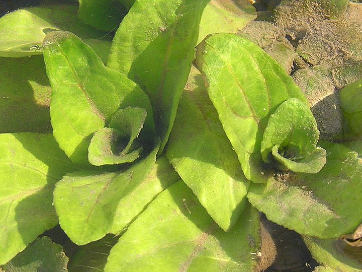 PP1010009.jpg