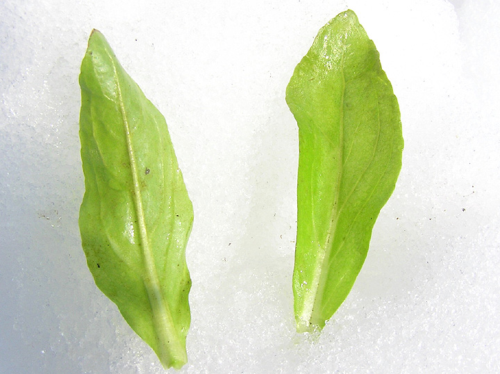 PP1010025.jpg
