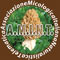 AMINT