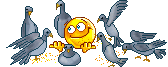 post-623-1201493929.gif