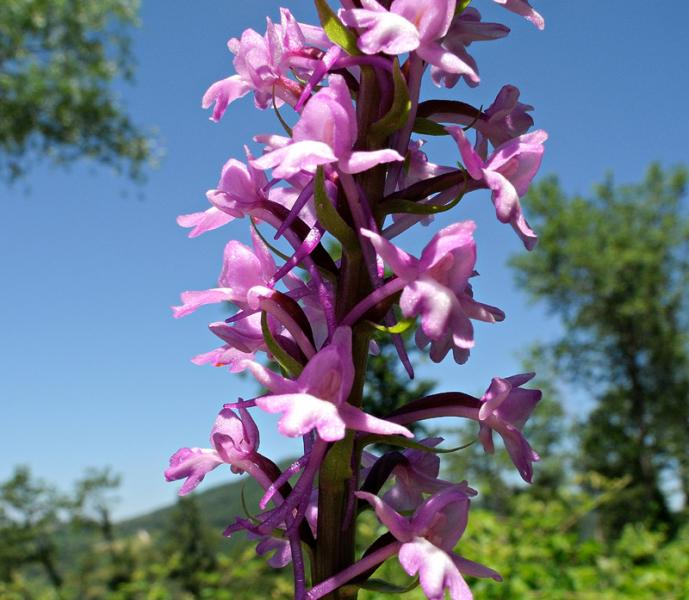 DSCN3998.jpg
