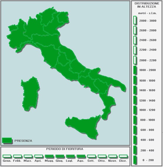 2111391926_CARTINAinBIANCO-TUTTAPIENA-Copia.jpg.0fefaa86b026089bb462806e50ead4fc.jpg