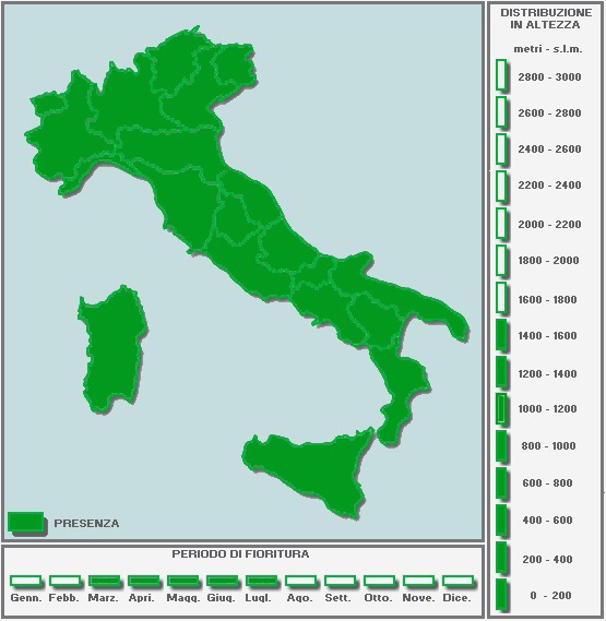 691412081_CARTINAinBIANCO-viciasativa.jpg.6e1c97afbcbb6ab4055dd2689f00b61f.jpg