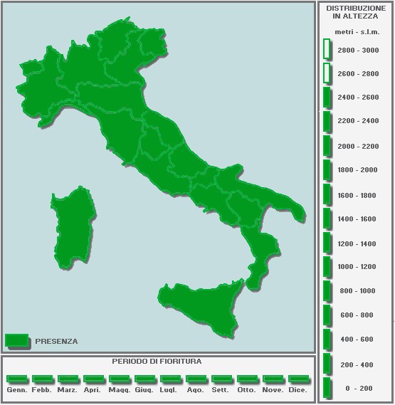 1899738388_CARTINAinBIANCO-TUTTAPIENA-Copia.jpg.6bc6c80bffd8e9e4527a855040823712.jpg