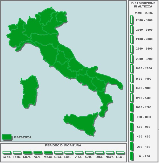 315694389_CARTINAinBIANCO-TUTTAPIENA-Copia.jpg.f2c29d2868628490be96f8f8c60be766.jpg