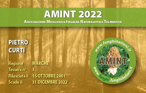 Tessera-AMINT-0003-2022.jpg
