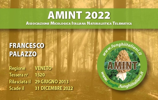 Tessera-AMINT-1520-2022.jpg