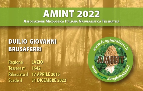 Tessera-AMINT-1642-2022.jpg