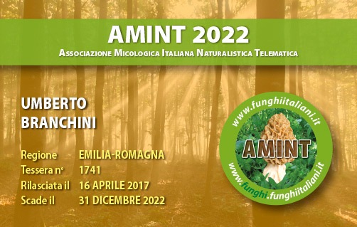 Tessera-AMINT-1741-2022.jpg