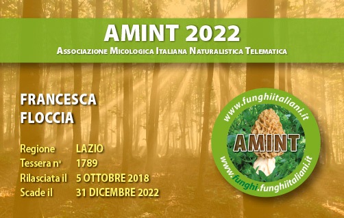 Tessera-AMINT-1789-2022.jpg