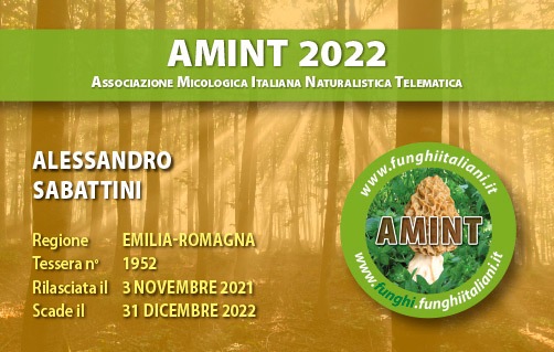 Tessera-AMINT-1952-2022.jpg